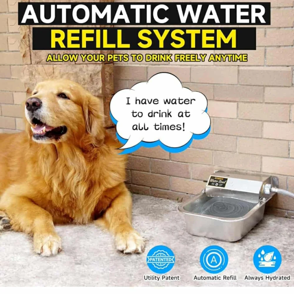 Automatic Stainless Steel Water Bowl